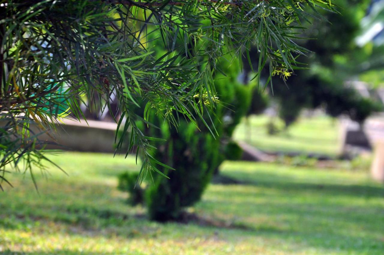 Riverside Resort Hotel Kabale Dış mekan fotoğraf
